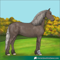 Horse Color:Silver Black 