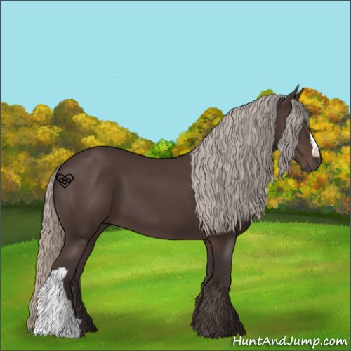 Horse Color:Silver Black 