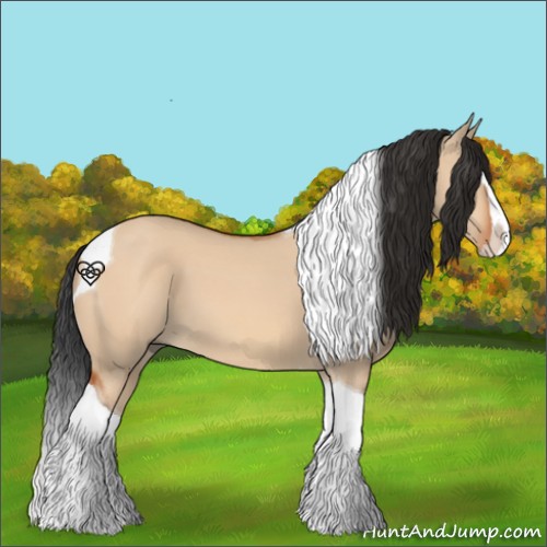 Horse Color:Bay Dun Splash Tobiano