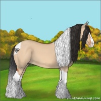 Horse Color:Bay Dun Splash Tobiano