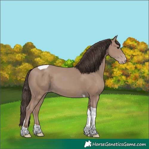 Horse Color:Classic Champagne Tobiano 