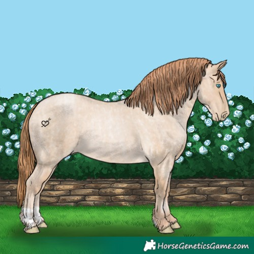 Horse Color:Buckskin Roan Pearl and Buckskin Roan Pearl Rabicano