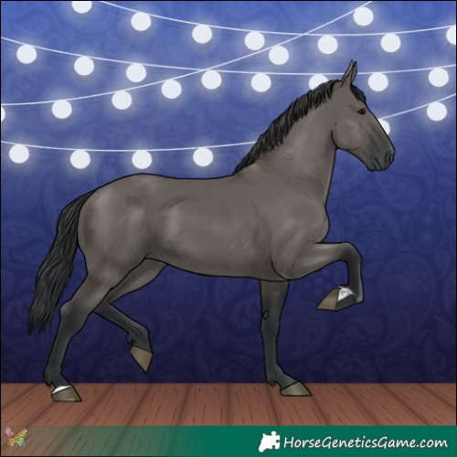 Horse Color:Grullo