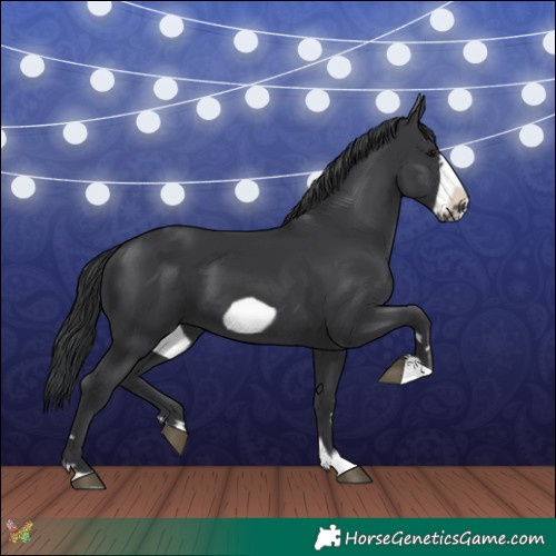 Horse Color:Black Frame 