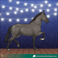 Horse Color:Smoky Grullo 