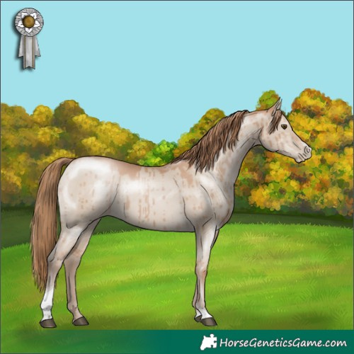 Horse Color:Grullo Pearl Sabino Tobiano Rabicano Brindle 