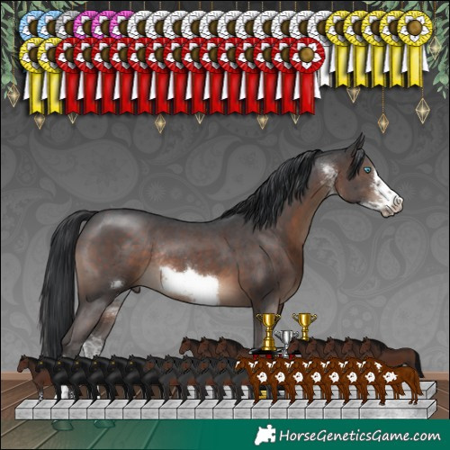 Horse Color:Brown Sabino Frame Rabicano 