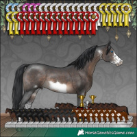 Horse Color:Brown Sabino Frame Rabicano 