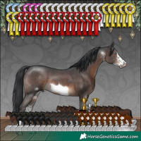 Horse Color:Brown Sabino Frame Rabicano 