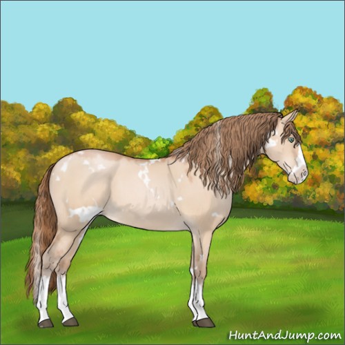 Horse Color:White Spotted Brown Pearl Dun Mushroom Sabino Splash 