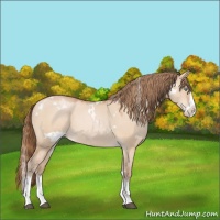 Horse Color:White Spotted Brown Pearl Dun Mushroom Sabino Splash 