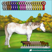 Horse Color:White Spotted Bay Pearl Dun Mushroom Splash 