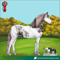 Horse Color:Painted Blue Onyx Ice Sabino Splash Tobiano 