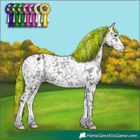 Horse Color:Painted White Spotted Blue Onyx Ice Appaloosa 