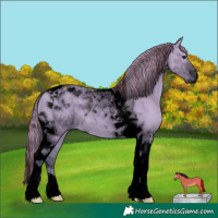 Horse Color:Void Painted Watercolor Chocolate Grullo Chinchilla Tobiano 