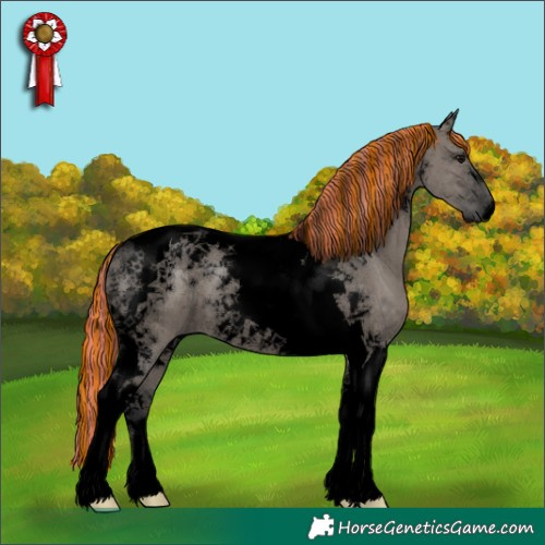 Horse Color:Void Painted Grullo Tobiano Brindle 