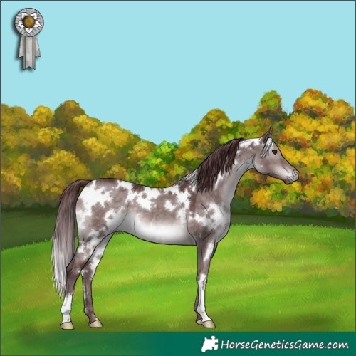 Horse Color:Platinum White Spotted Chocolate Brown Dun 