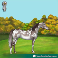 Horse Color:Platinum White Spotted Chocolate Brown Dun