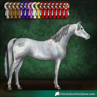 Horse Color:ERROR: UNKNOWN ANOMALY