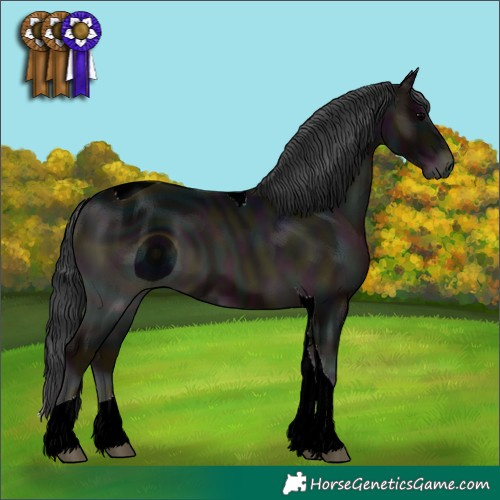 Horse Color:ERROR: UNKNOWN ANOMALY