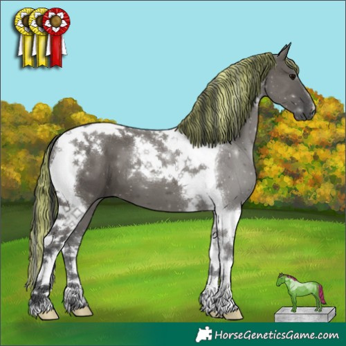 Horse Color:Painted Grullo Tobiano 
