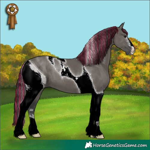 Horse Color:ERROR: UNKNOWN ANOMALY