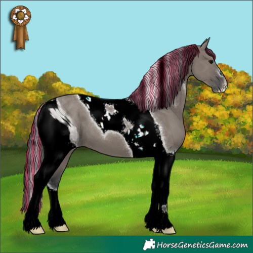 Horse Color:ERROR: UNKNOWN ANOMALY