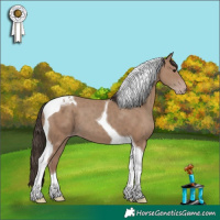 Horse Color:Classic Champagne Tobiano