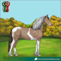 Horse Color:Classic Champagne Tobiano