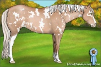 Horse Color:White Spotted Silver Bay Pearl Sabino 