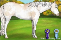 Horse Color:White Spotted Silver Bay Pearl Dun Sabino 