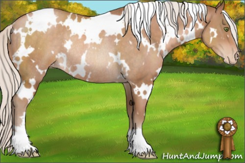 Horse Color:White Spotted Silver Brown Pearl Varnish Rabicano