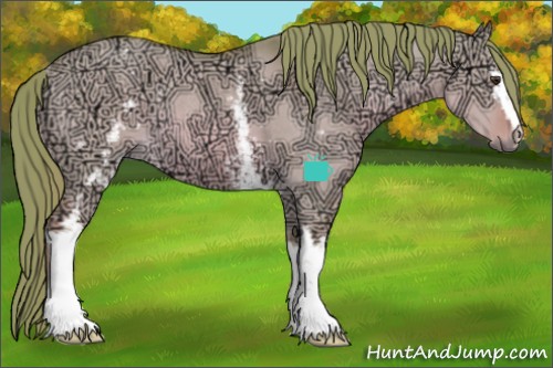 Horse Color:Watercolor White Spotted Red Dun Ice Rabicano 