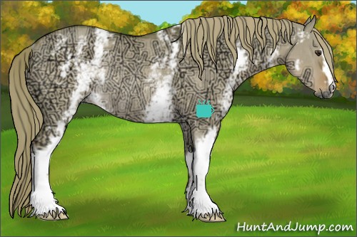 Horse Color:Watercolor White Spotted Liver Red Dun Ice Rabicano 
