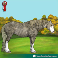 Horse Color:Watercolor White Spotted Liver Red Dun Ice Rabicano 