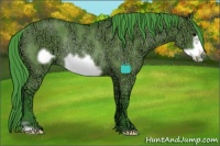 Horse Color:Watercolor Grullo Ice Frame Rabicano 