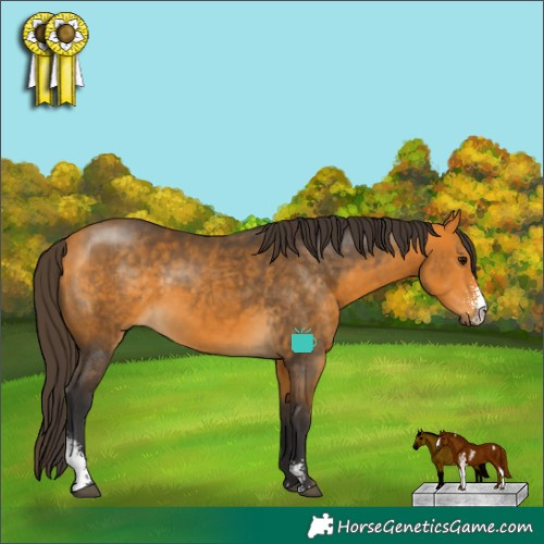 Horse Color:Buckskin Sabino Rabicano