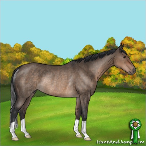 Horse Color:Brown Dun Rabicano 