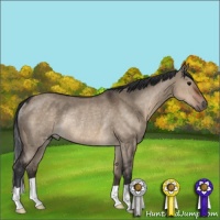 Horse Color:Brown Dun Rabicano 