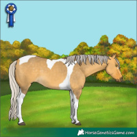 Horse Color:Silver Buckskin Dun Tobiano 