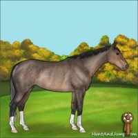 Horse Color:Brown Dun Rabicano 