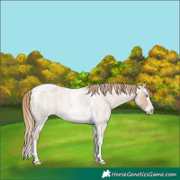 Horse Color:Smoky Creme Roan Splash Tobiano 