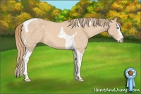 Horse Color:Perlino Splash Tobiano 