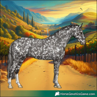 Horse Color:Liver Chestnut Appaloosa
