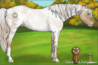 Horse Color:White Spotted Liver Chestnut Pearl Appaloosa 
