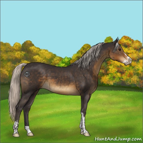 Horse Color:Silver Smoky Black  and Silver Smoky Black Splash Tobiano 