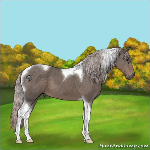 Horse Color:Silver Black Tobiano 