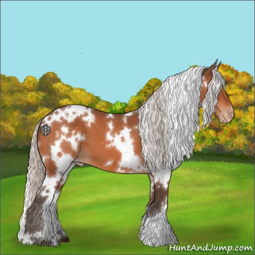 Horse Color:White Spotted Silver Bay Appaloosa 