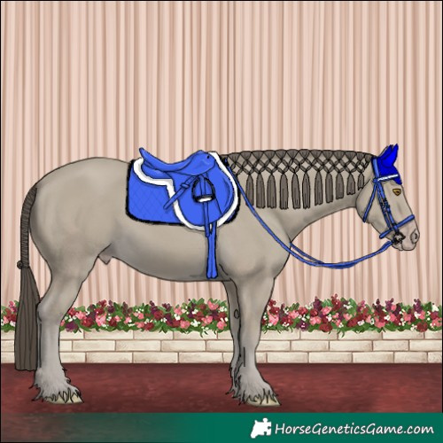 Horse Color:Classic Cream Champagne