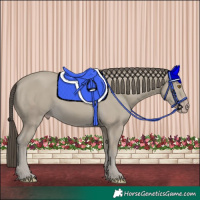 Horse Color:Classic Cream Champagne 